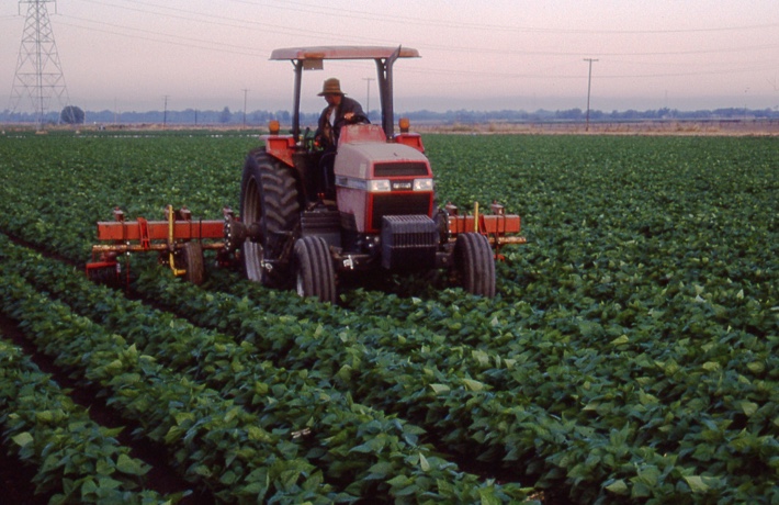 Tractor working the fields at Pleasant Grove Farms